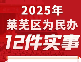2025年莱芜区12件民生实事出炉
