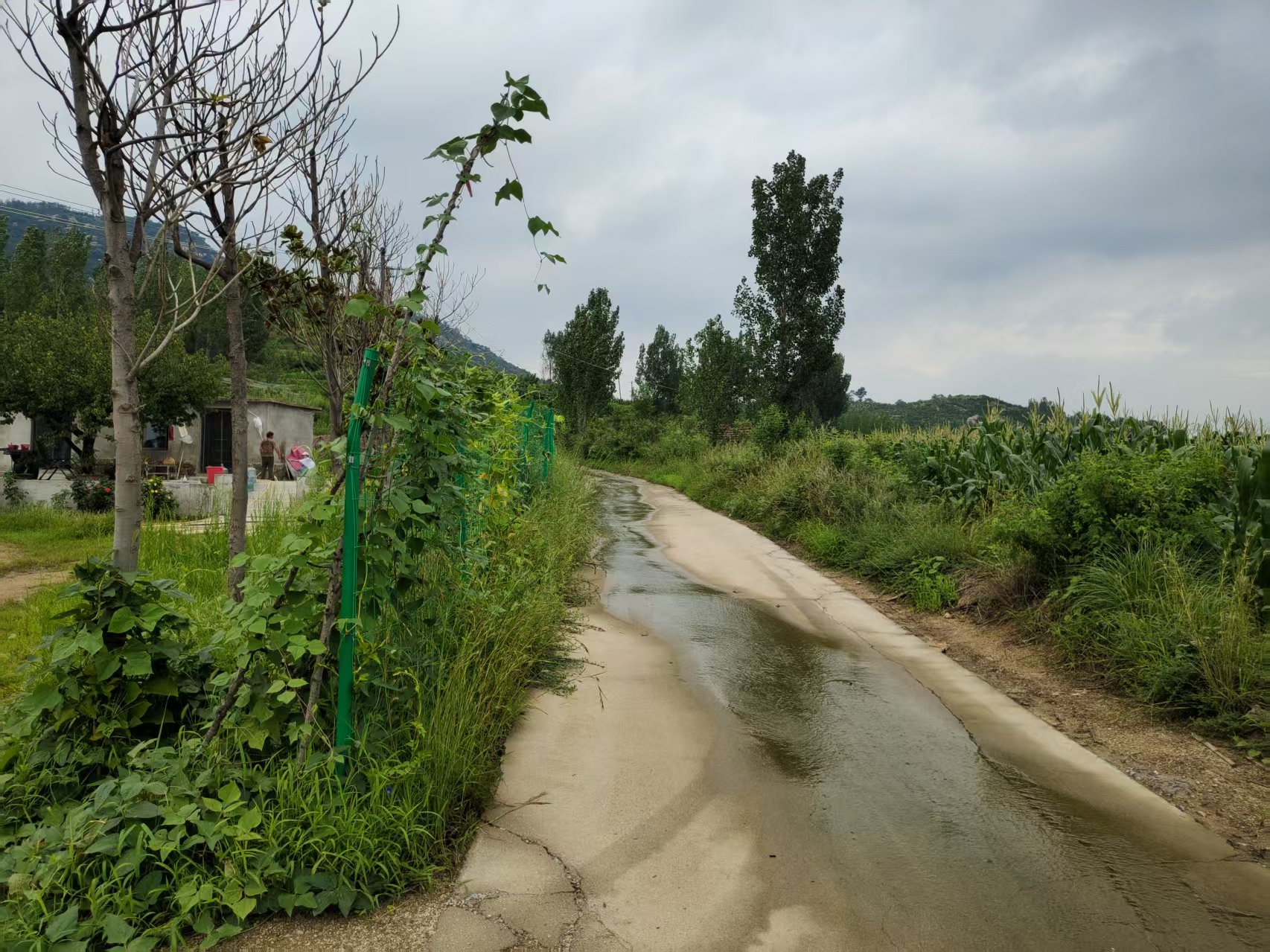 出租山地20亩，有几百颗樱桃树，地都已场平，环境优美、交通便利，在钢城区棋山风景区周边，有意者可咨询，看场地询价。13863486866 租房