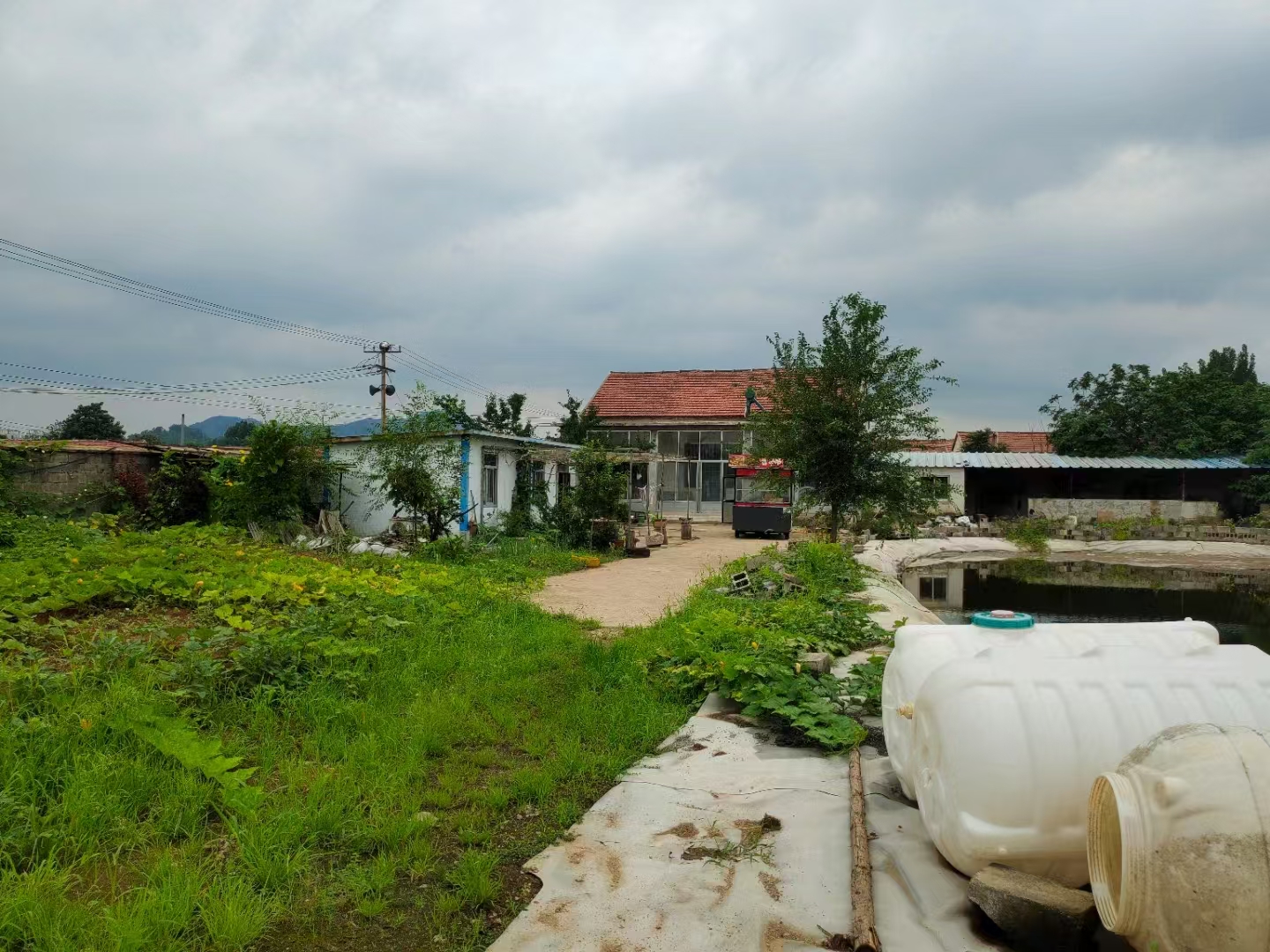 钢城区汶源街道院落出租 租房