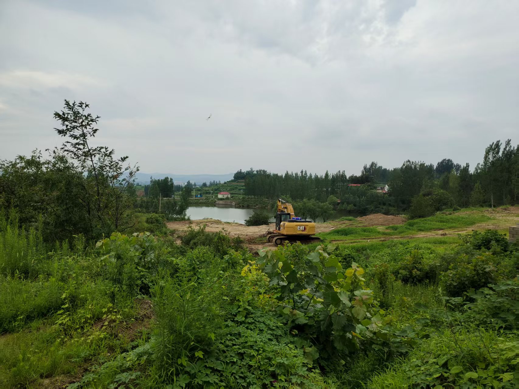 出租山地20亩，有几百颗樱桃树，地都已场平，环境优美、交通便利，在钢城区棋山风景区周边，有意者可咨询，看场地询价。13863486866 租房