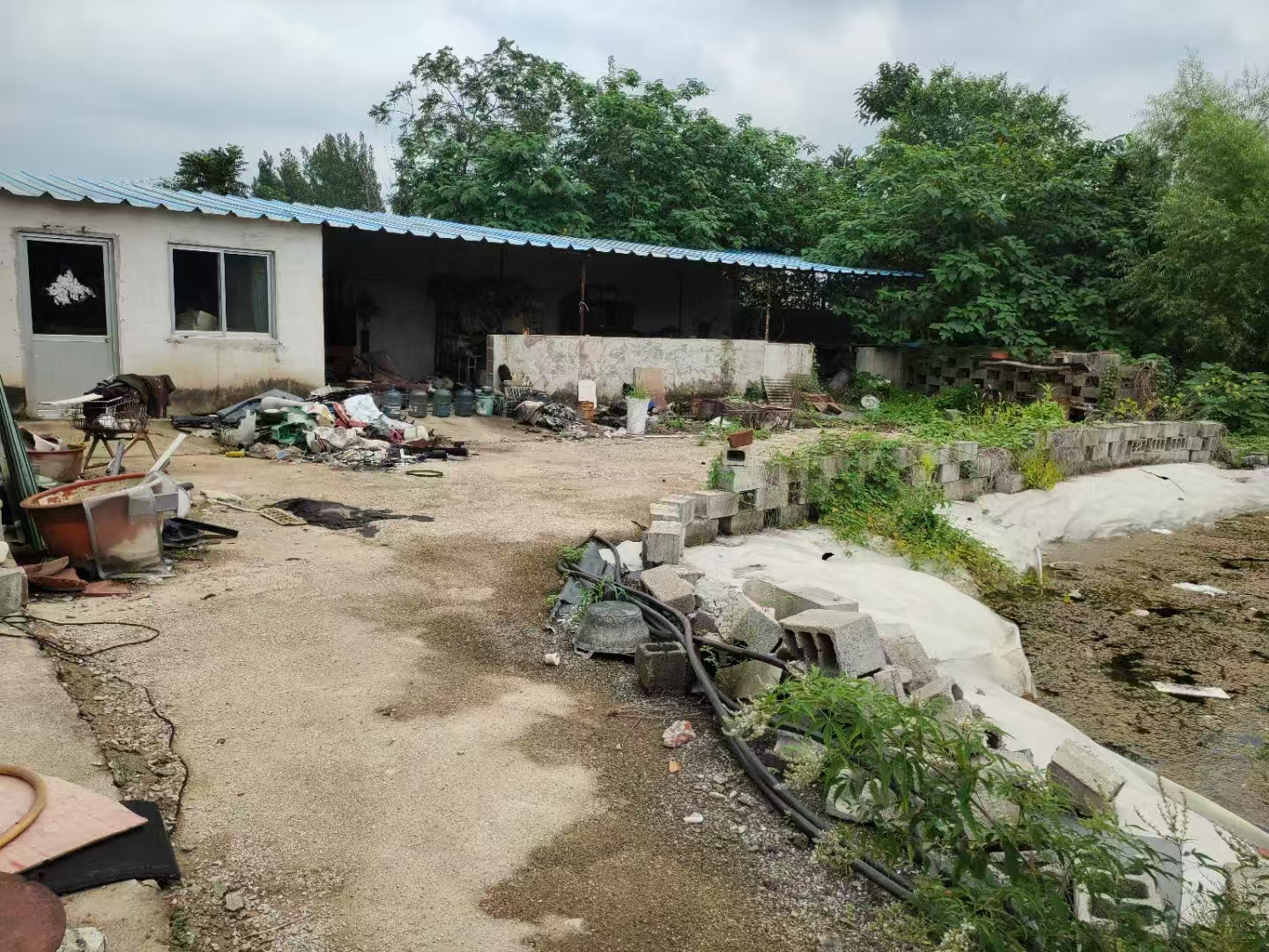 钢城区汶源街道院落出租 租房