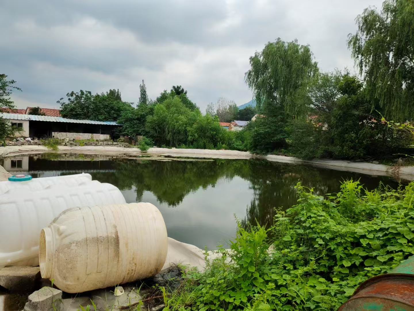 钢城区汶源街道院落出租 租房