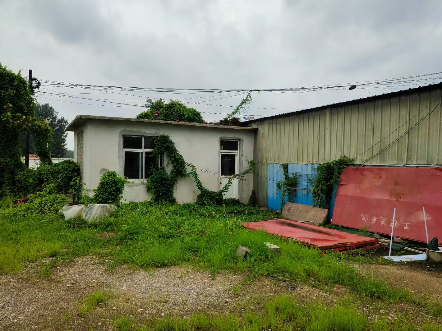 钢城区汶源街道院落出租 租房