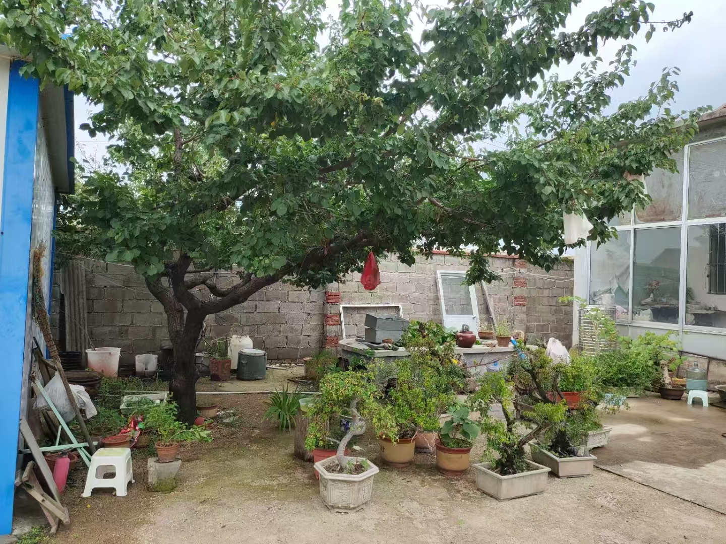 钢城区汶源街道院落出租 租房