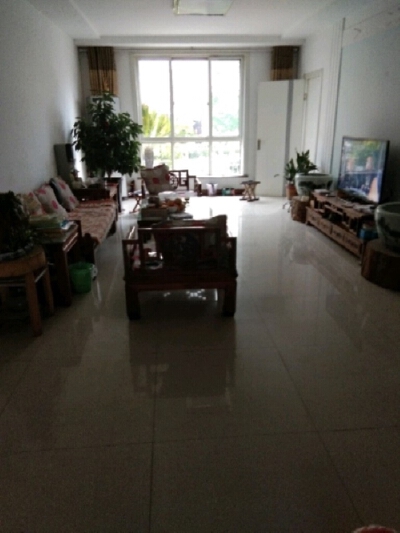 振兴佳苑1楼带院子大产权南北通透