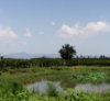 小陈
