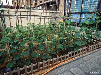 兴宇华府，1楼带院子135平，带储带车位120万，价可议，急售，急售