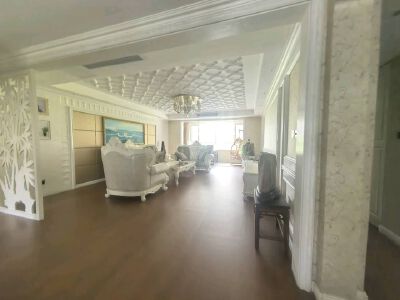 市中心   电梯新房  黄金楼层   精装短柱   复式   拎包入住  学区房  拎包入住