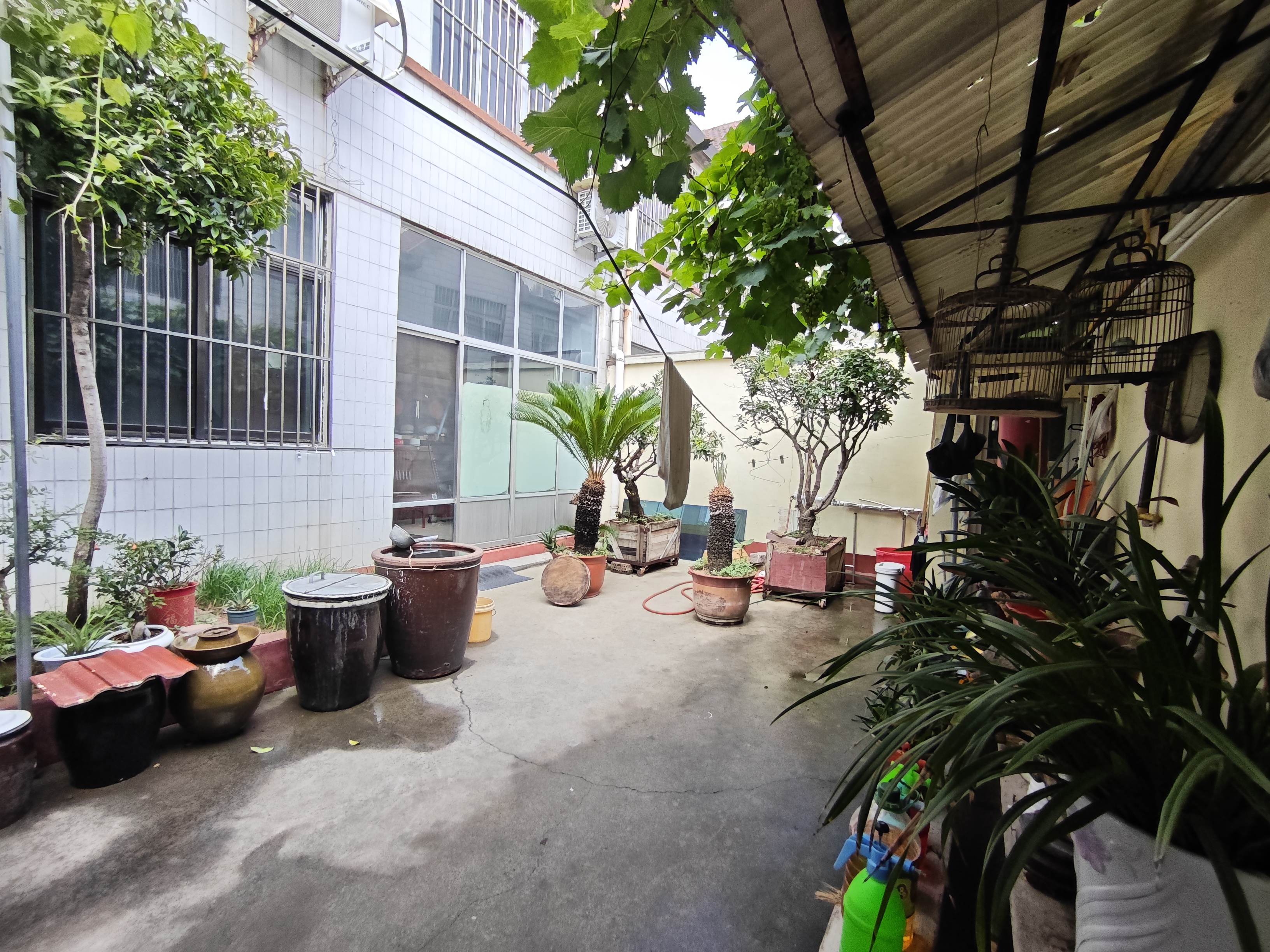 紧邻大润发，花园学校，上下3层，联排别墅，双气精装带院子300平196万，价可议，急售，急售 二手房
