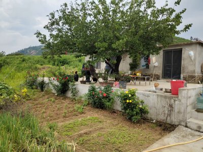 出租山地20亩，每年一缴租赁费，也可以一次性转租30年，有厂房，有房屋，水电齐全，有几百颗樱桃树，地都已场平，环境优美、交通便利，在钢城区棋山风景区周边，有意者可咨询，看场地询价。13863486866
