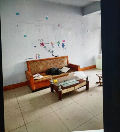 孙故事小区，2室2厅1卫，65㎡，售价11万