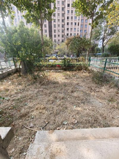 世纪城3室南北通透带院子