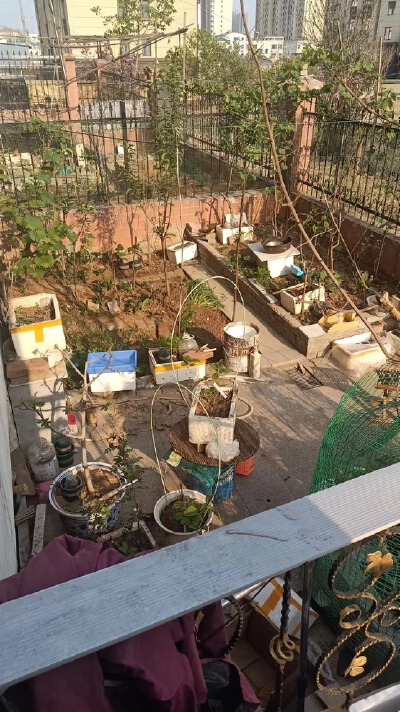 凤城名邸90平两室，一楼带院子，双证带储53万
