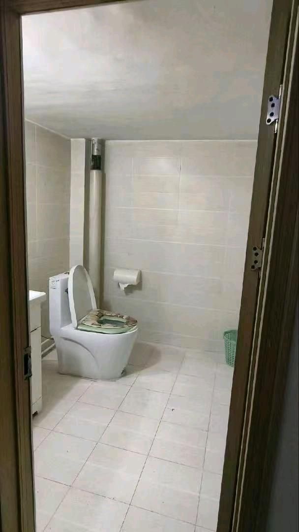 龙凤苑南北通透带阁楼 二手房